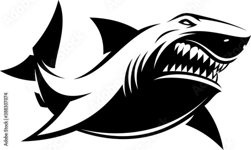 Vector illustration, great white ferocious shark