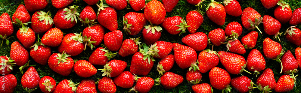 red fresh strawberries on green grass, close view red fresh strawberries on green grass, close view