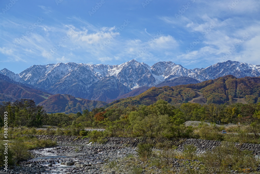 Fototapeta premium Autumn colorful foliage. mountains have 3 different colors made by nature, white, red, green. 
