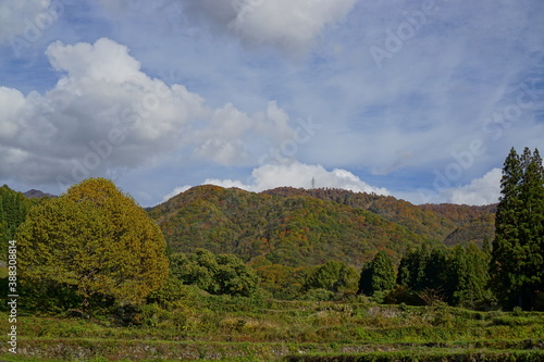 Autumn colorful foliage. mountains have 3 different colors made by nature  white  red  green. 