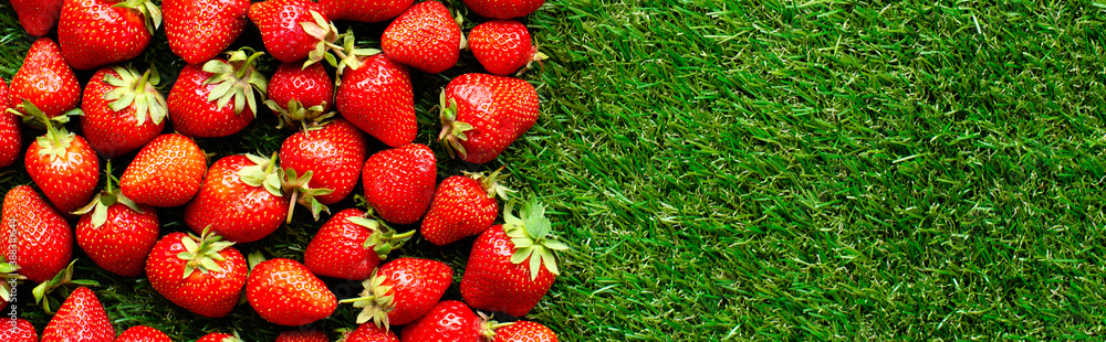 red fresh strawberries on green grass, close view red fresh strawberries on green grass, close view