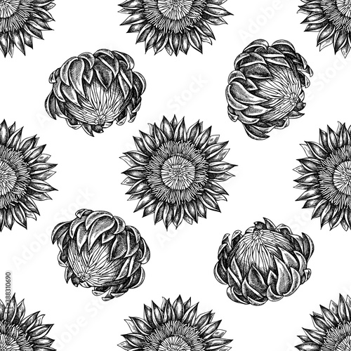 Seamless pattern with black and white protea