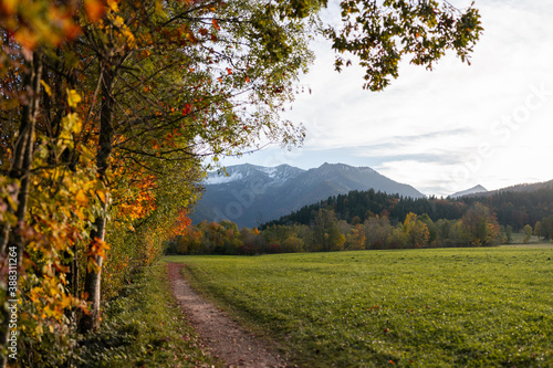 Fototapeta Naklejka Na Ścianę i Meble -  A photo of a view of the Alps, passing autumn colored trees