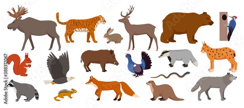 Forest animals isolated on white set of vector illustration. Woodland wild animals and birds nature collection. Moose, deer, bear and hedgehog, rabbit, squirrel, beaver or wolf, fox, raccoon.