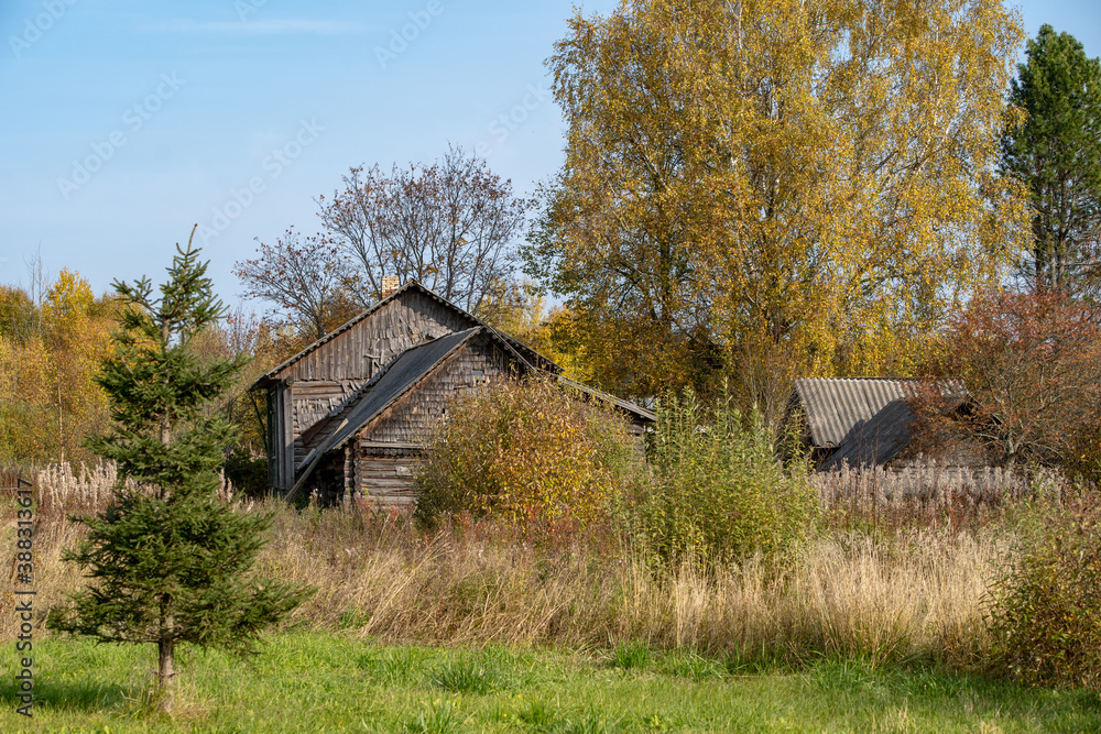 Old, ramshackle village houses among dry, autumn grass. Gold autumn. Old, ramshackle village houses among dry, autumn grass. Gold autumn.