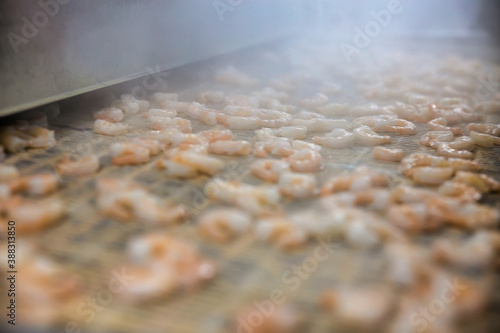 Processing frozen shrimp in a factory in Vietnam