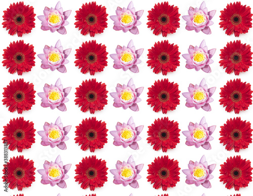 Flower seamless pattern isolated on white  seamless texture or background
