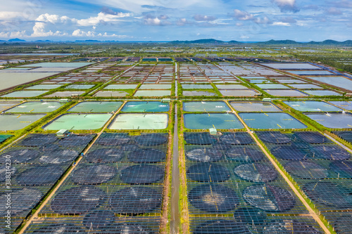 Aerial view of the High technology white shrimp ( prawn ) farm with aerator p...