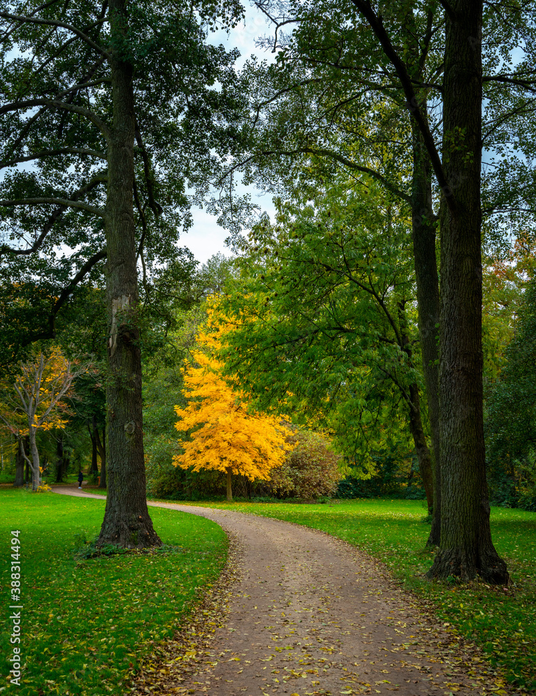 Herbst im Park