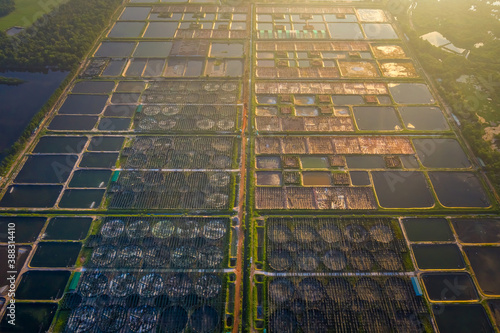 Aerial view of the High technology white shrimp ( prawn ) farm with aerator p...