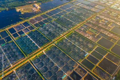 Aerial view of the High technology white shrimp ( prawn ) farm with aerator p...