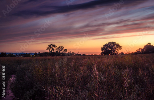 Sunset Over English Fields