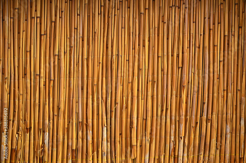Bamboo surface  wall or floor  texture background. Wall of an Asian  Chinese house built from bamboo sticks