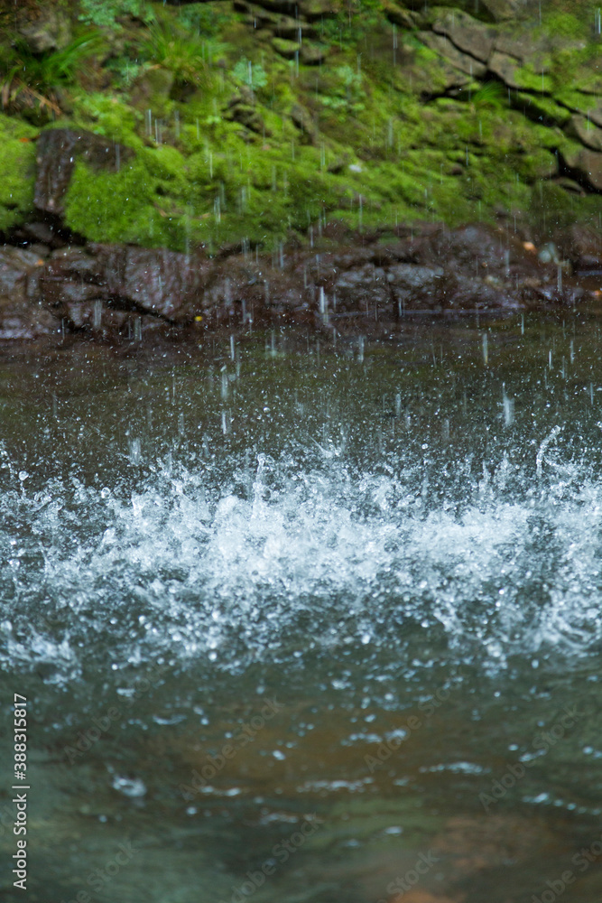 Fototapeta premium 滝の水