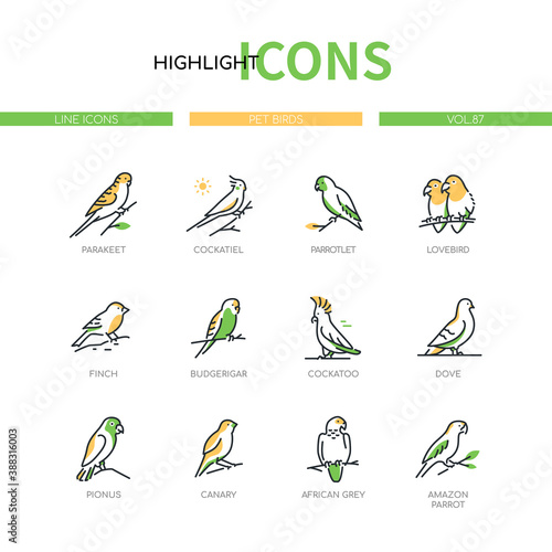 Pet birds - modern line design style icons set