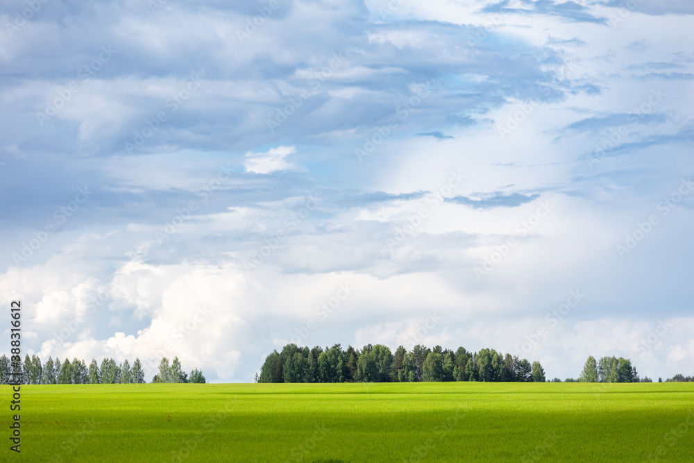 Summer landscape with green field and clouds in the sky