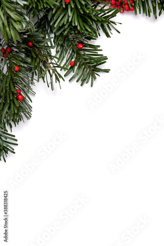 Festive Christmas background with beautiful decorations and pine branches on white backgorund