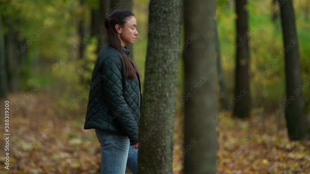 A middle-aged woman with dark hair enjoys nature in an autumn forest. Smiling and walking among the trees in the sunlight. Model in blue jeans and an outdoor jacket. A middle-aged woman with dark hair enjoys nature in an autumn forest. Smiling and walking among the trees in the sunlight. Model in blue jeans and an outdoor jacket.
