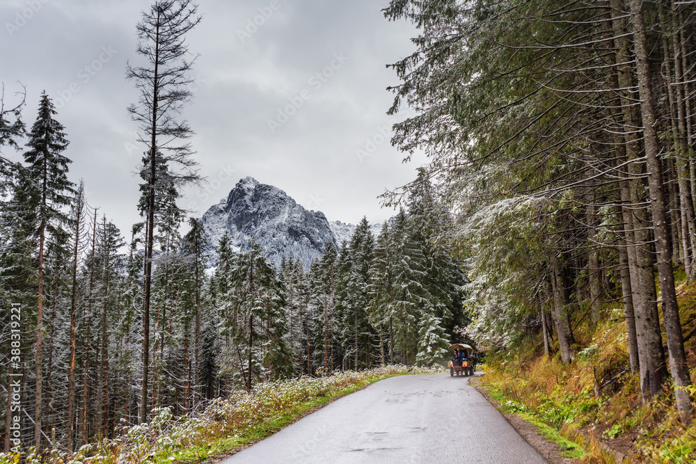 Autumn and winter on the road in the High Tatras Autumn and winter on the road in the High Tatras
