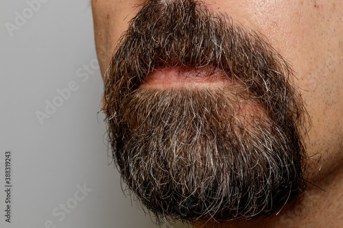 Принти на полотні Unkempt goatee beard showing gray hairs on a 50 year old man