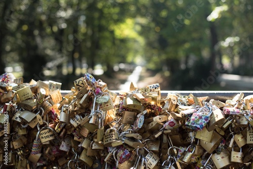 Vrnjacka Banja bridge of love with locks