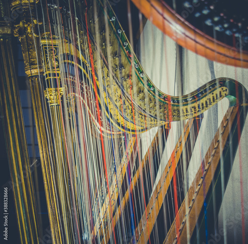 close up of harp