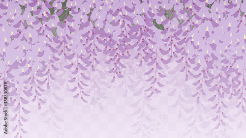 藤の花の背景_和風イラスト_藤棚_16:9