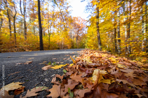 Stra  e mit buntem Herbstlaub 