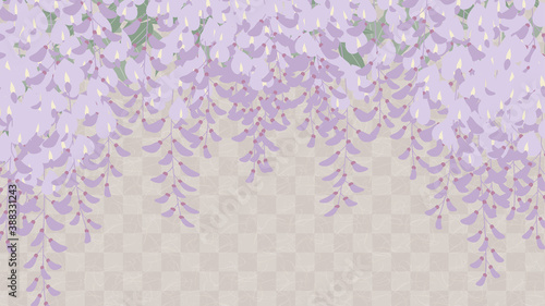 藤の花の背景_和風イラスト_藤棚_16:9