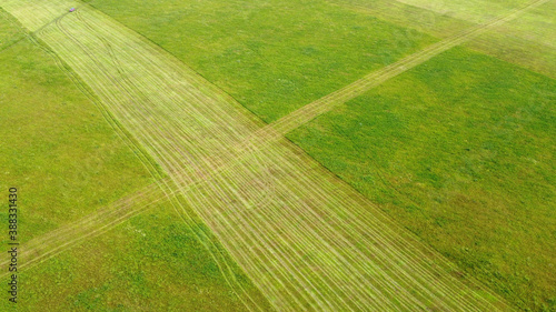 The harvester removes grass from the fields. View from above © Sergei Malkov
