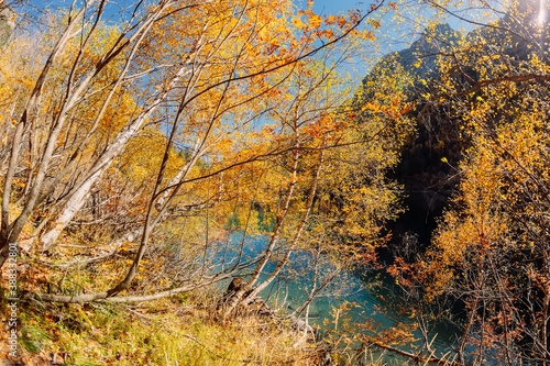Mountain lake with transparent water and colorful autumnal trees