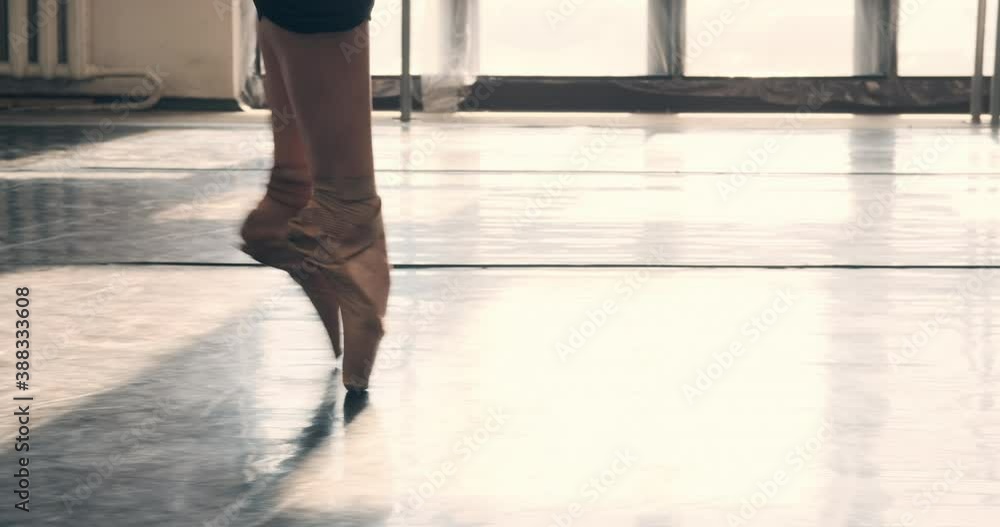 Low section of ballet dancer rehearsing on tiptoe at dance hall Low section of ballet dancer rehearsing on tiptoe at dance hall