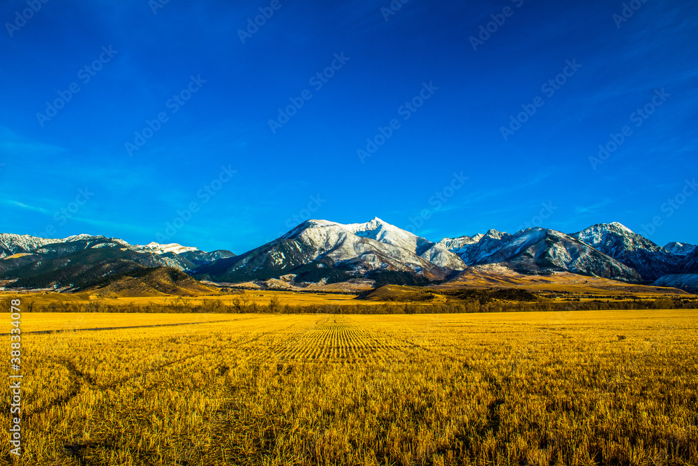 Fields and mountains in Montana, USA