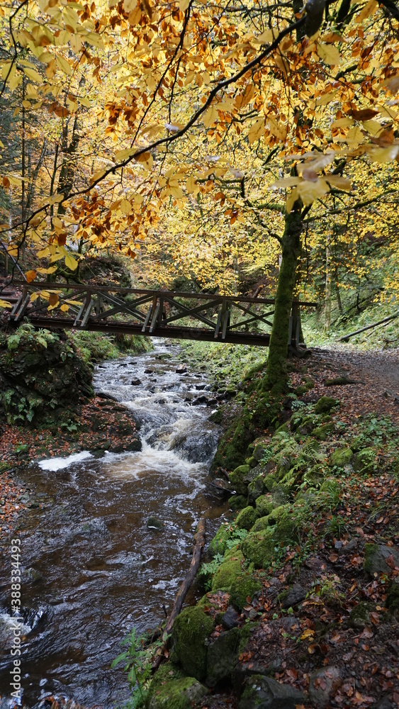 a footbridge in the Ravenna Gorge in Breitnau, in the month of October, Germany a footbridge in the Ravenna Gorge in Breitnau, in the month of October, Germany