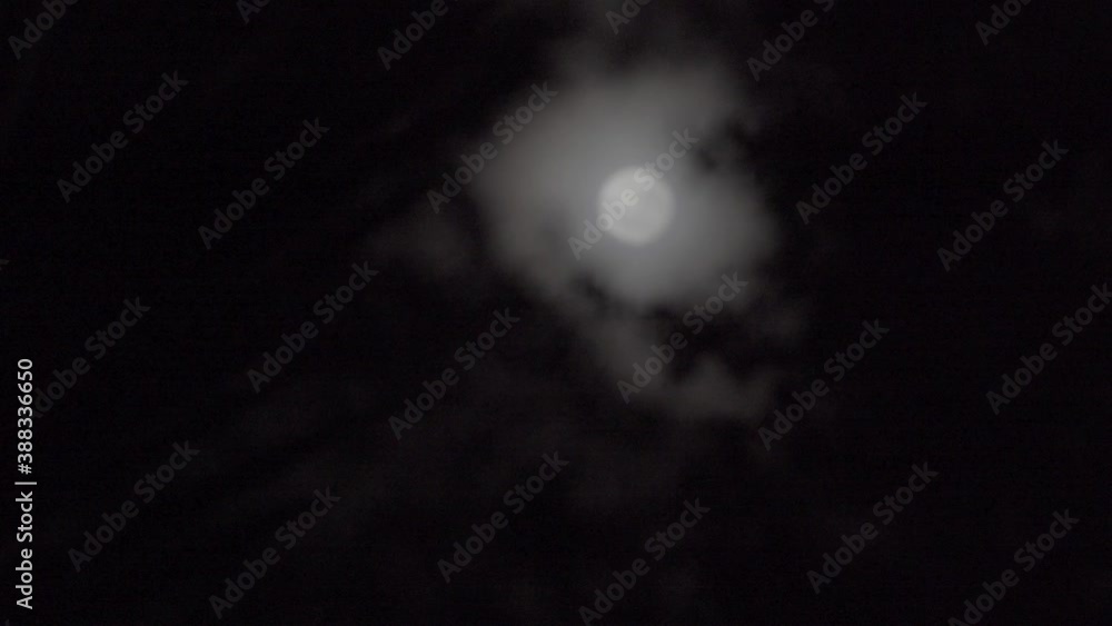 pulling focus from the trees in the shadow to the moon in the bright sky dark night pulling focus from the trees in the shadow to the moon in the bright sky dark night