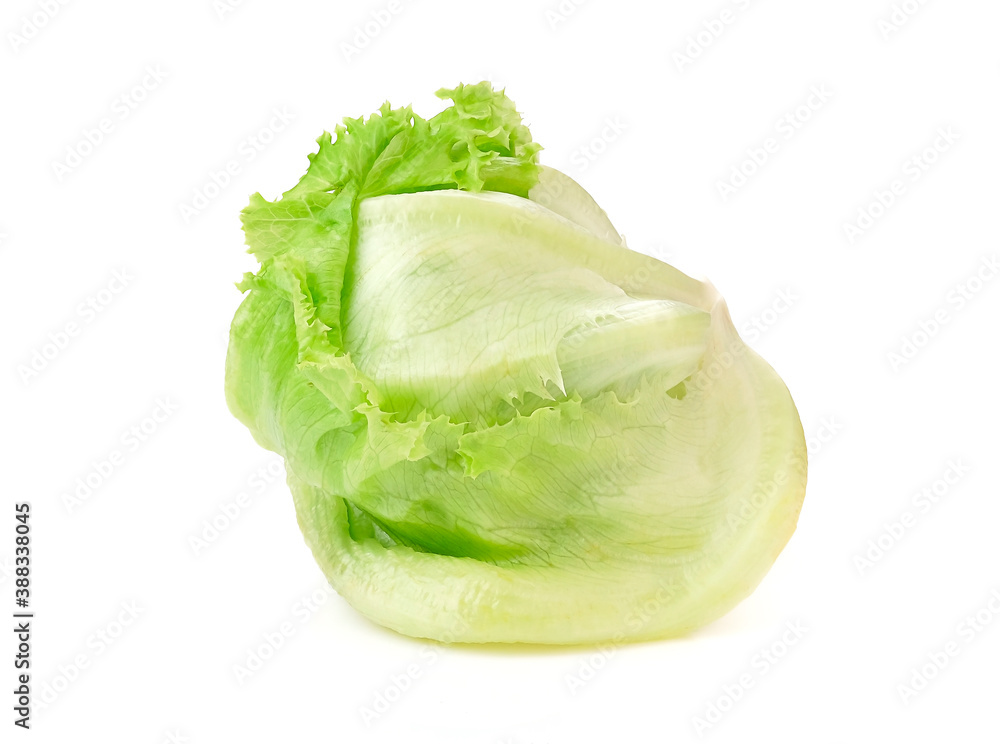 iceberg lettuce isolated on the white background . iceberg lettuce isolated on the white background .
