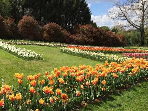 Tulips at Chateau Grand Bigard, Belgium