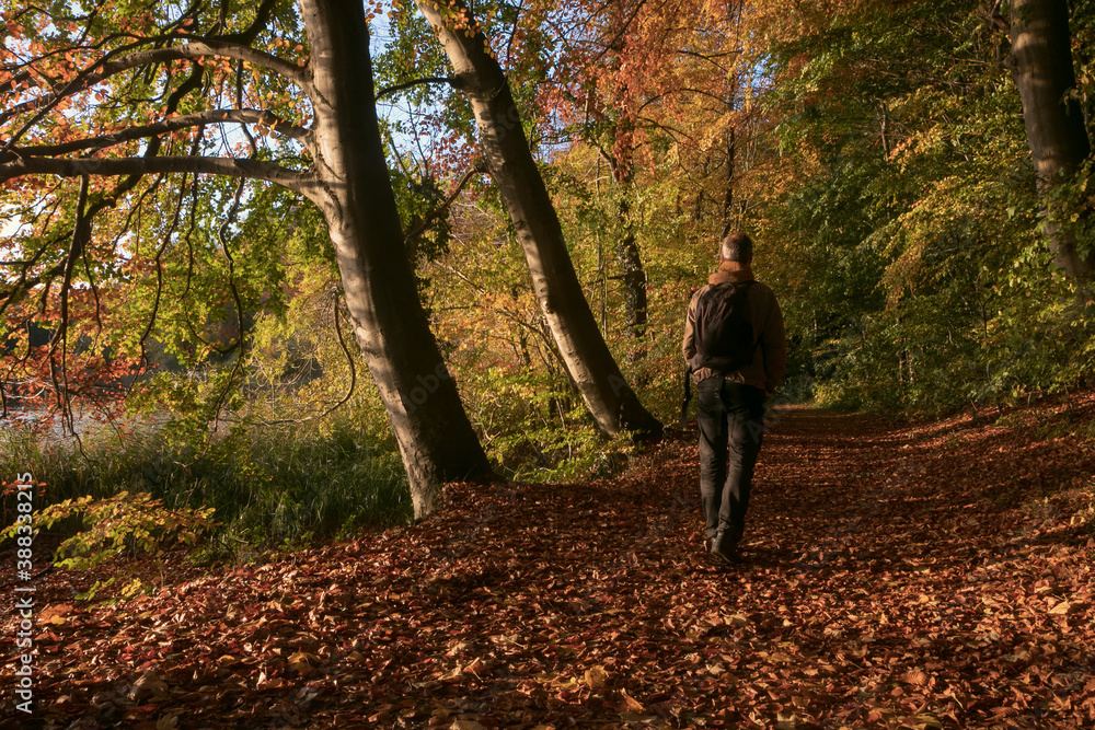 Mann wandert im bunten Herbst Wald