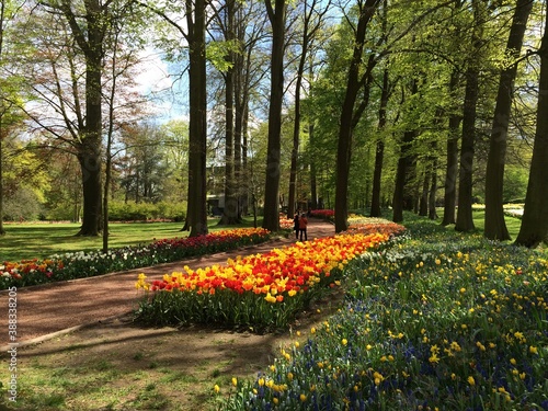 Tulips at Chateau Grand Bigard, Belgium