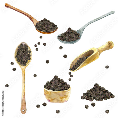 Watercolor collection of black peper. Hand drawn spoons and cup with dried peppercornes isolated on white. Spice for cooking, recipe, packaging design. Natural ingredient for seasonging.