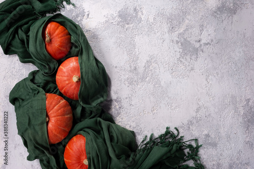 autumn still life red pumpkins lie in a green scarf in an old wooden box, on a dark background
