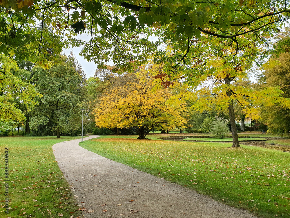 Parkweg im Hofgarten Bayreuth führt am Laubbaum mit gelben Blättern vorbei entlang eines Bachlaufs im Hofgarten Bayreuth. 2020. Perspektive 1 Parkweg im Hofgarten Bayreuth führt am Laubbaum mit gelben Blättern vorbei entlang eines Bachlaufs im Hofgarten Bayreuth. 2020. Perspektive 1