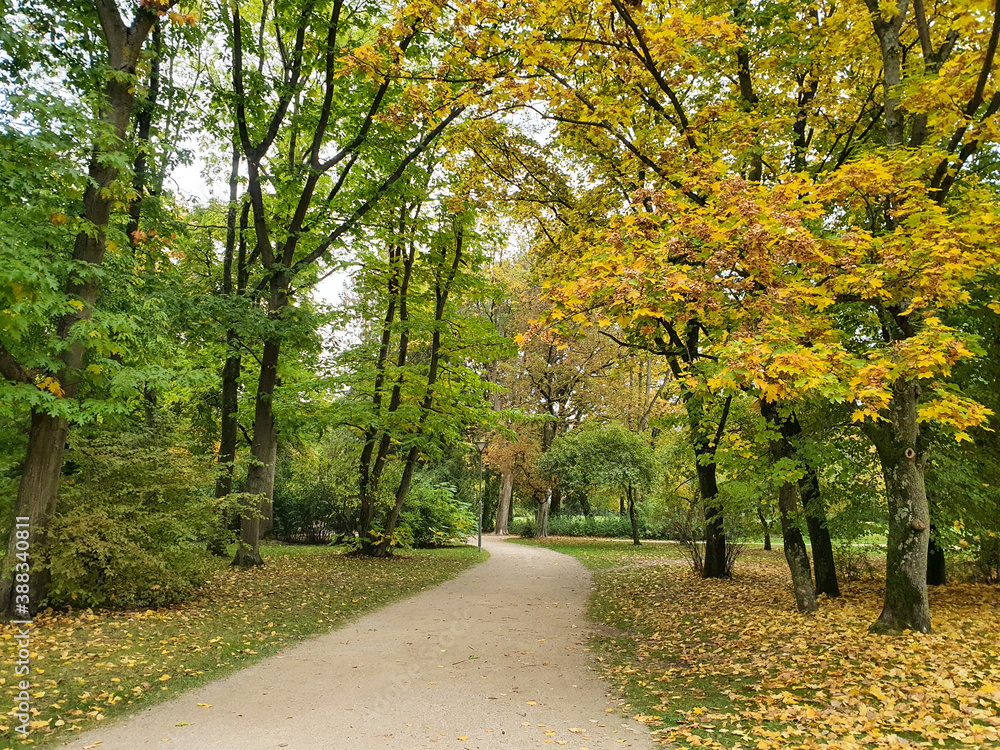 Weg / Pfad / Waldweg im Hofgarten Bayreuth im Herbst, Oktober 2020. Gelb grüne Blätter hängen an den Bäumen und liegen auf dem Boden. Bayern, Oberfranken, Deutschland. 