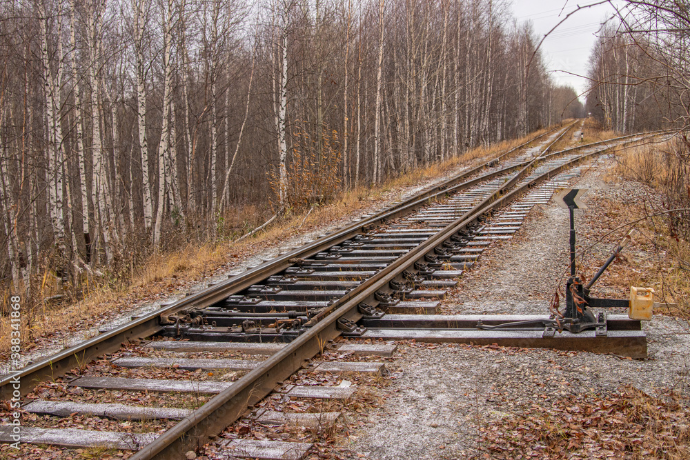 Fototapeta premium Old railway in the autumn forest.