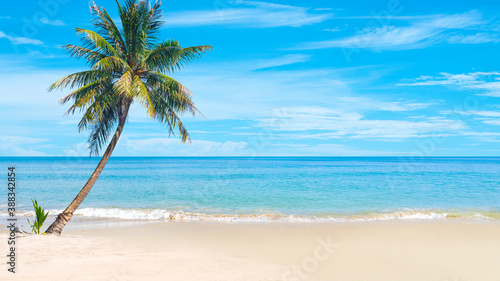 Fototapeta Naklejka Na Ścianę i Meble -  Beautiful beaches and coconut trees in Thailand.