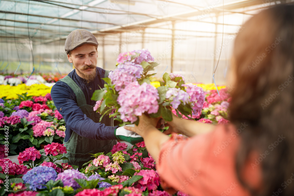 Male gardener with mustache offer plants and flowers to the clients in the greenhouse