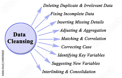 Nine Components of Data Cleansing