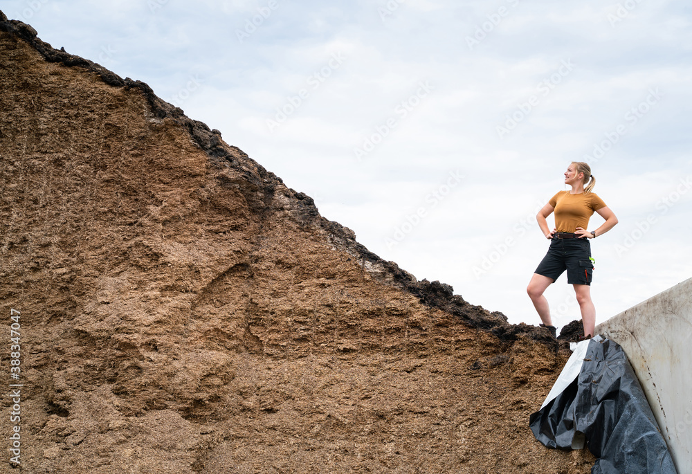 Naklejka premium Junge Landwirtin steht an einem großen Maissilagehaufen, landwirtschaftliches Symbolfoto.