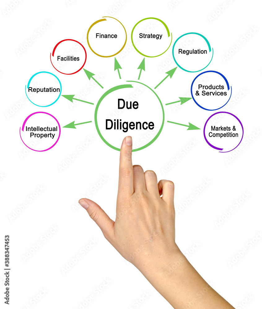 Fototapeta premium Eight Components of Due Diligence
