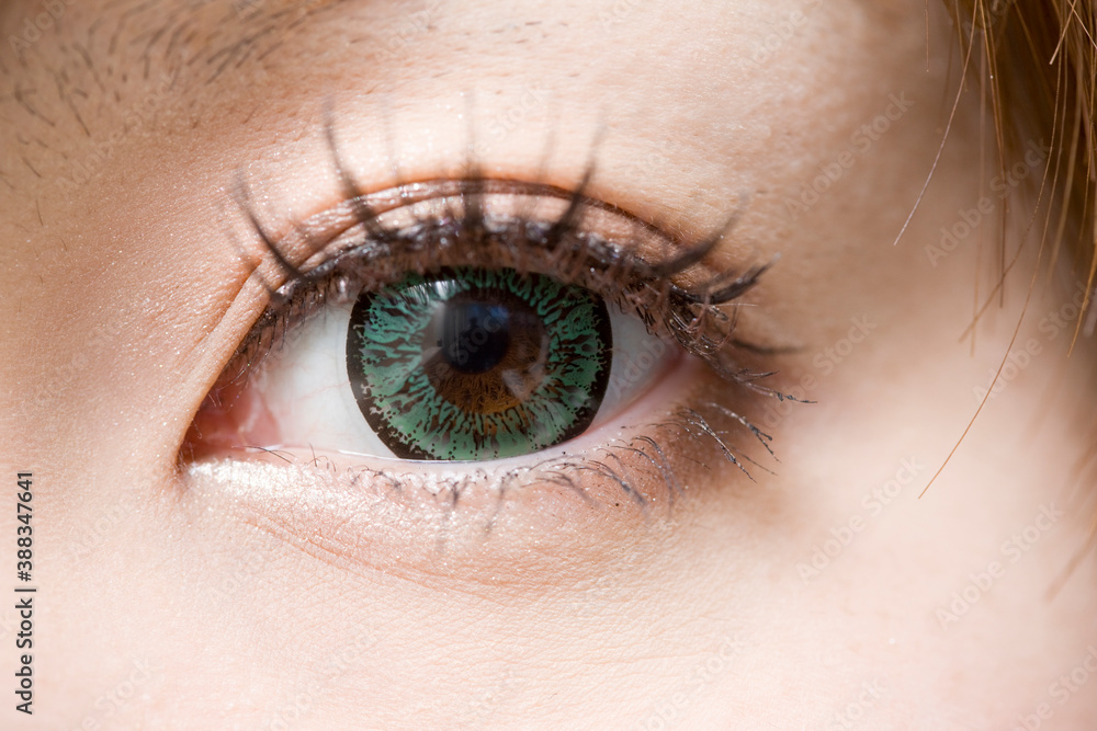 Fototapeta premium 女性の目